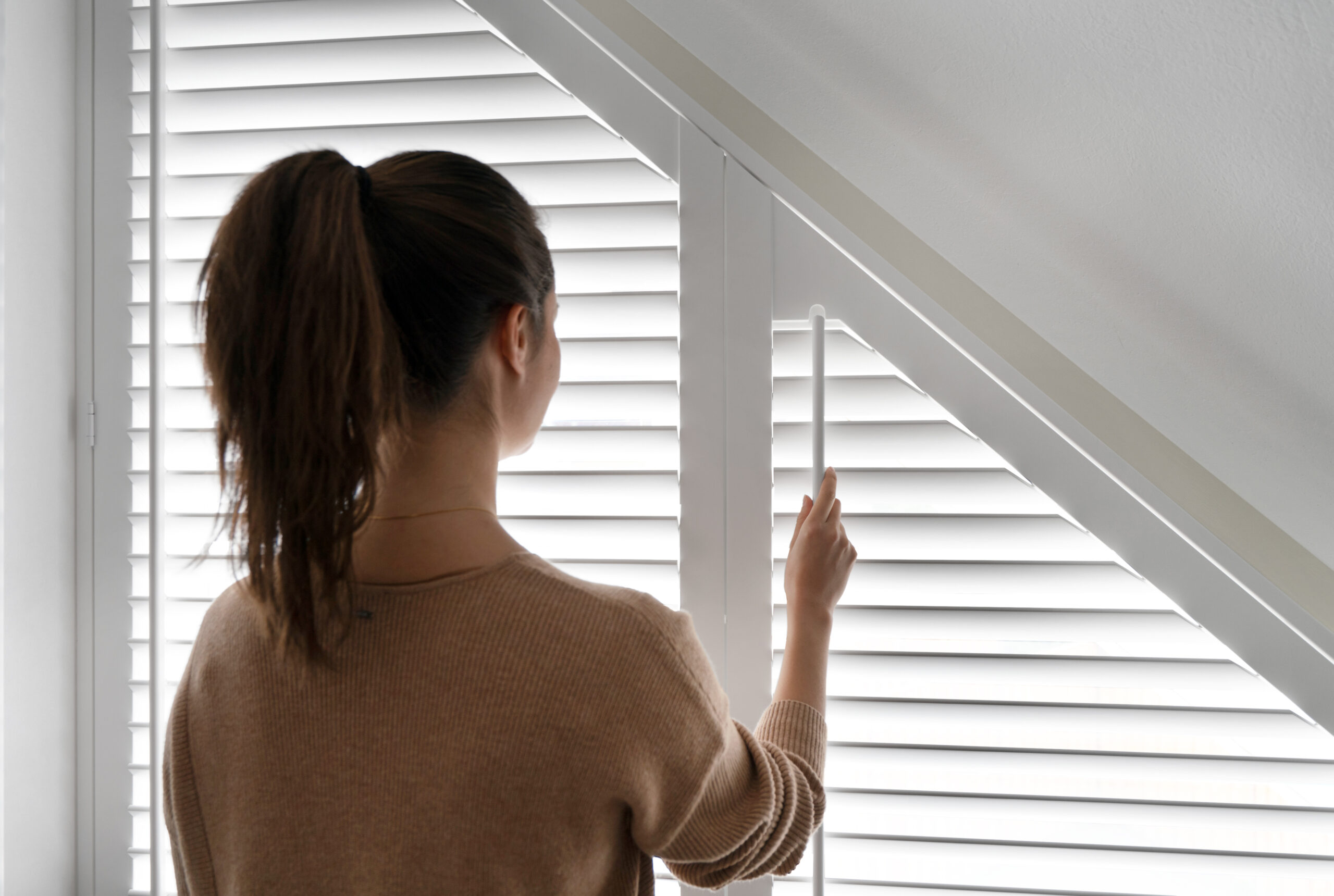 cleaning shutters