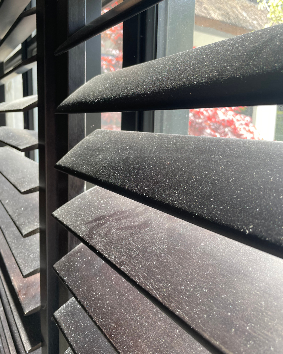 Cleaning Shutters